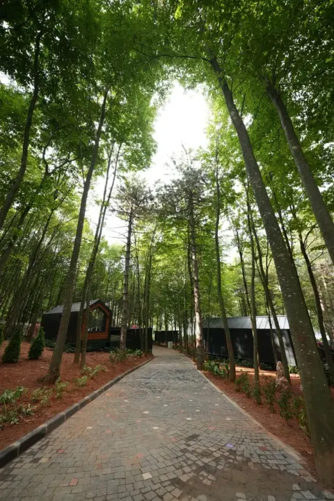 Saklı Vadi Tiny House Kartepe – Tiny House, Maşukiye – fotoğraf 4